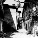 fenil del santo fenil del santo